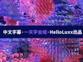【不缺课】跟大神一天学会域 HelloLuxx 【画质高清中文字幕】