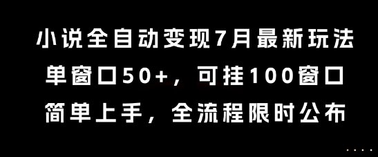 小说全自动变现7月玩法，单窗口50+，可挂100窗口，流程限时公布  第1张