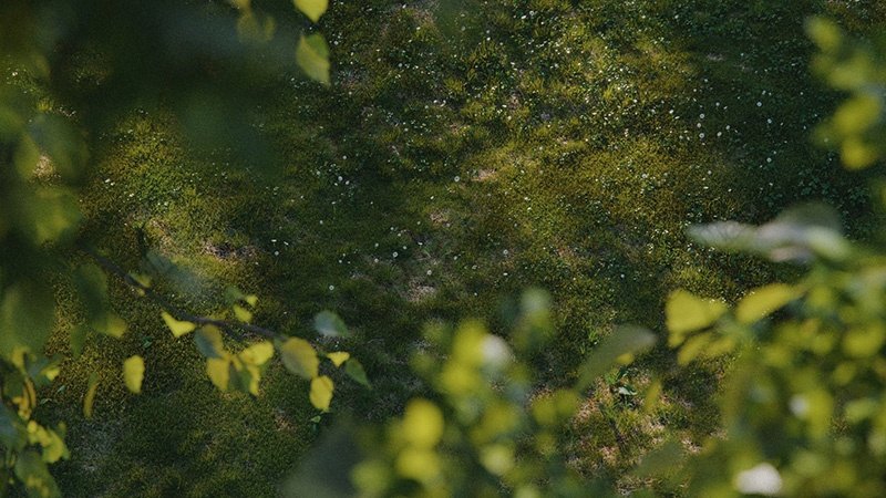 SurfaceSPREAD v2.0.7 R25(C4D植物生成插件)