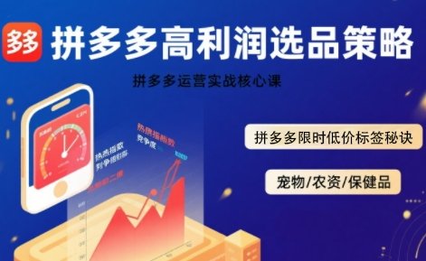 拼多多选品暴利技术实战课，拼多多高利润选品策略，拼多多限时低价标签秘诀  第1张
