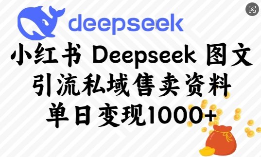 小红书Deepseek图文引流私域售卖资料，单日变现多张  第1张
