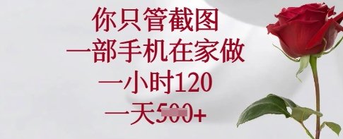 你只管截图，一部手机在家做，一小时120.一天5张【揭秘】  第1张
