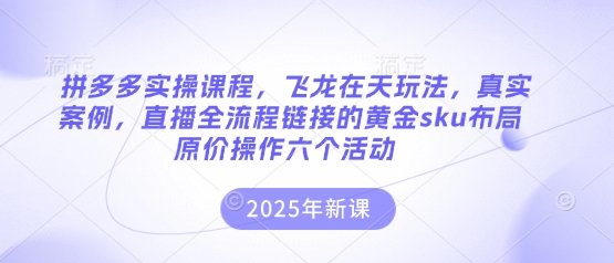 拼多多实操课程，飞龙在天玩法，真实案例，直播全流程链接的黄金sku布局原价操作六个活动