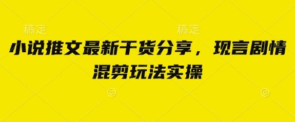 小说推文最新干货分享，现言剧情混剪玩法实操