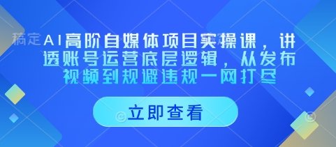 AI高阶自媒体项目实操课，讲透账号运营底层逻辑，从发布视频到规避违规一网打尽