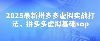 2025最新拼多多虚拟实战打法，拼多多虚拟基础sop