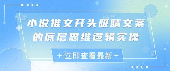小说推文开头吸睛文案的底层思维逻辑实操  第1张
