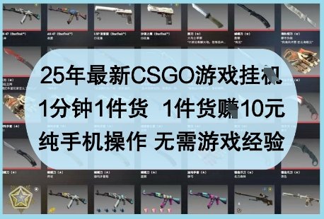 25年最新CSGO游戏挂G,1分钟1件货,1件货挣10元,纯手机操作,无需游戏经验【揭秘】 第1张 25年最新CSGO游戏挂G,1分钟1件货,1件货挣10元,纯手机操作,无需游戏经验【揭秘】 第1张