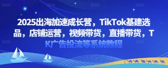 2025出海加速成长营，TikTok基建选品，店铺运营，视频带货，直播带货，TK广告投流等系统教程