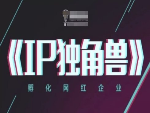 IP独角兽，孵化网红企业，ip教程