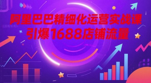 阿里巴巴精细化运营实战课，引爆1688店铺流量  第1张