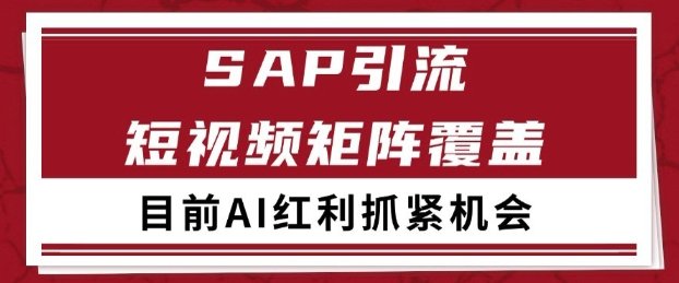 小红书某音sap赛道引流获客 自热矩阵日引200+【揭秘】