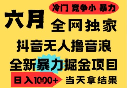 25年6月高爆抖音无人直播最新撸音浪掘金项目，小白可做，无脑日入1k+，门槛低可批量矩阵【揭秘】