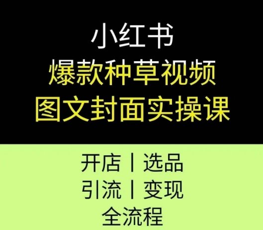 小红书爆款种草视频图文封面实操课，开店、选品、引流、变现全流程  第1张