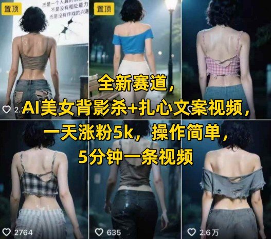 全新赛道，AI美女背影杀+扎心文案视频，一天涨粉5k，操作简单，5分钟一条视频  第1张