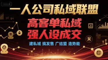 一人公司私域联盟，高客单私域，强人设成交，建私域 搞发售 广结盟 造势能  第1张