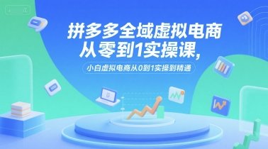 拼多多全域虚拟电商从零到1实操课，小白虚拟电商从0到1实操到精通  第1张