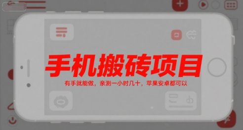 手机搬砖项目，有手就能做，亲测一小时几十，苹果安卓都可以  第1张