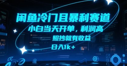 闲鱼冷门且暴利赛道，小白当天开单，利润高，照抄就有收益，日入1k+【揭秘】  第1张