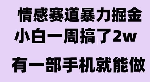 情感暴力掘金项目，新人操作一周挣了2W，长期稳定小白可做【揭秘】  第1张