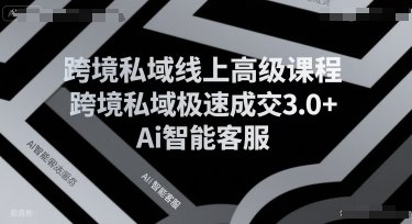 跨境私域线上高级课程，跨境私域极速成交3.0+Ai智能客服  第1张