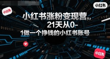 小红书涨粉变现营，21天从0-1做一个挣钱的小红书账号  第1张
