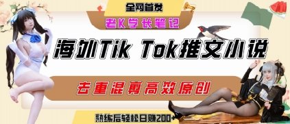 海外tiktok小说推文暴力项目，高停留率，高转化率，上手后一天搞顿饭钱不是问题  第1张