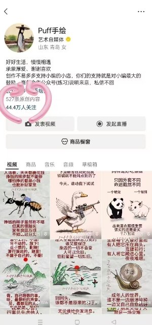 Puff手绘视频号分成项目，三天过分成计划，简单易上手，适合新手  第2张