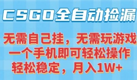CSGO自动捡漏项目，最新独家玩法，一个手机可操作，新手小白轻松月入1W+，操作简单易上手【揭秘】  第1张
