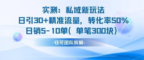 实测私域新玩法日引30加精准流量转化率50%日销5-10单每笔3张  第1张