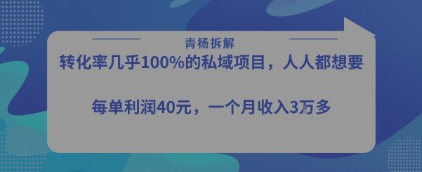 转化率最高的私域项目，每单利润40-50米，月入过1w  第1张