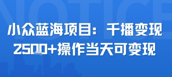 小众蓝海项目，千播变现2.5k+操作当天可变现  第1张