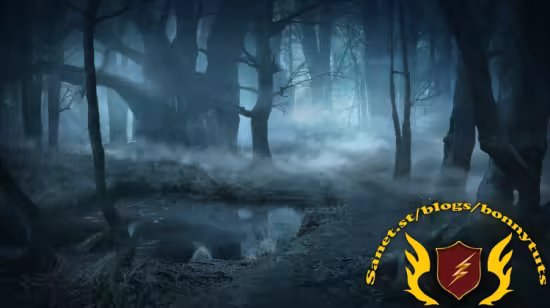 Create a Misty Forest Matte Painting in Photoshop  第1张