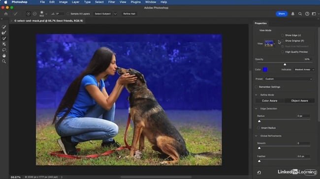 LinkedIn – Photoshop and Lightroom: Masking Essentials  第1张