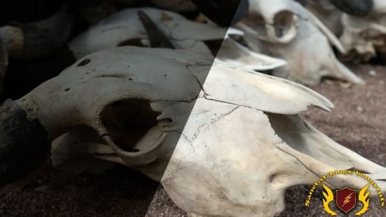 Photoshop: Tips and Quick Fixes (2024)  第1张