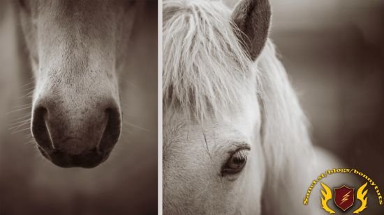 Photoshop 2025 Essential Training  第1张