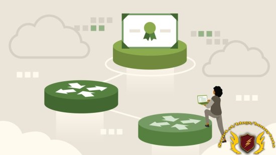 CCNP Enterprise: ENCOR v1.1 (350-401) Cert Prep  第1张