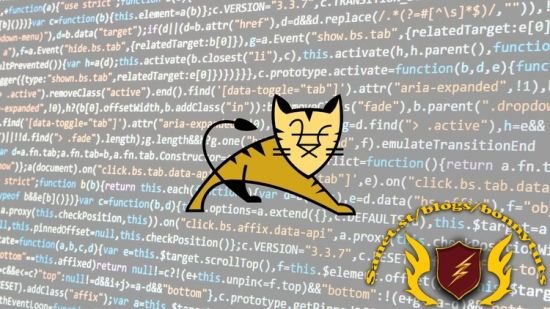 The Complete Course of Apache Tomcat 2024  第1张