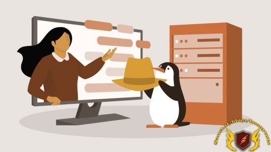 Complete Guide to Red Hat Enterprise Linux 9  第1张