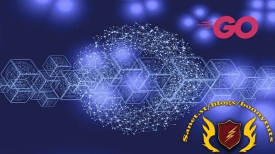 Build your own Blockchain from Scratch : Golang  第1张