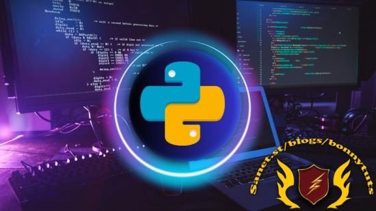 Python Programming for Beginners: Learn from Scratch (2024) 第1张 Python Programming for Beginners: Learn from Scratch (2024) 第1张