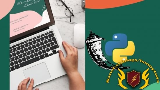 Python & Flask Framework for Beginners – 2024  第1张