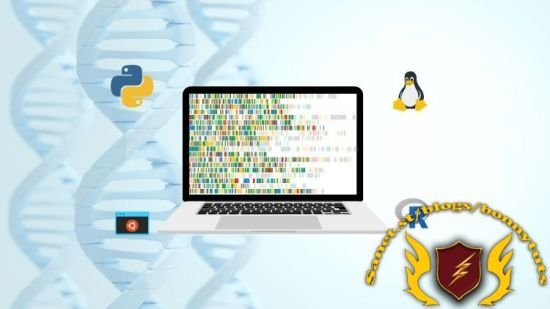 Bioinformatics Data Analysis Crash Course Python R and Linux  第1张