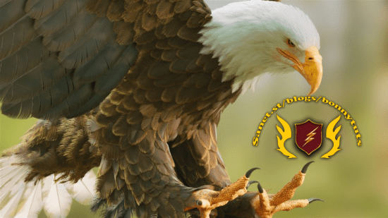 In House Tool Building for TD’s  第1张