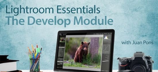 Lightroom Essentials: The Develop Module  第1张