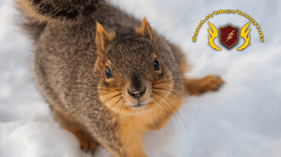 Learning Lightroom (2022)  第1张