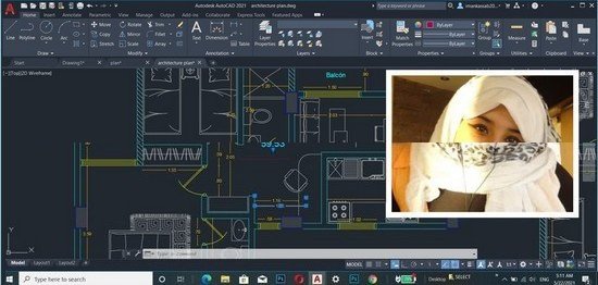 AutoCAD 2021:2022 interface Essential training  第1张