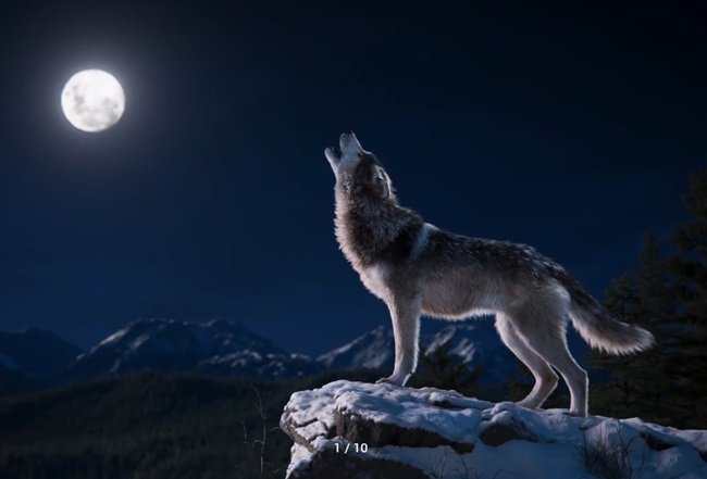 VFX Grace – Blender Creature Effects The Complete WorkFlow Modeling