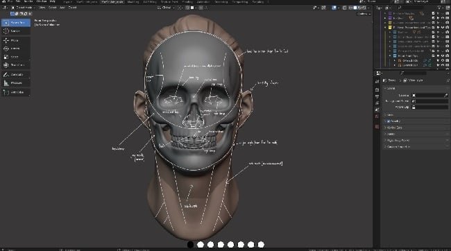 Gumroad – Master Sculpting Heads (V1.3) – 3D Blender Course