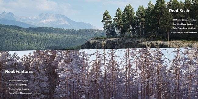 Unreal Engine Marketplace – RealBiomes Scots Pine Forest 1.2 Win  第1张